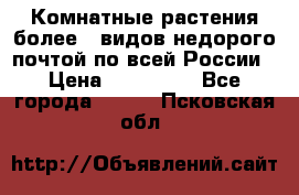 Комнатные растения более200видов недорого почтой по всей России › Цена ­ 100-500 - Все города  »    . Псковская обл.